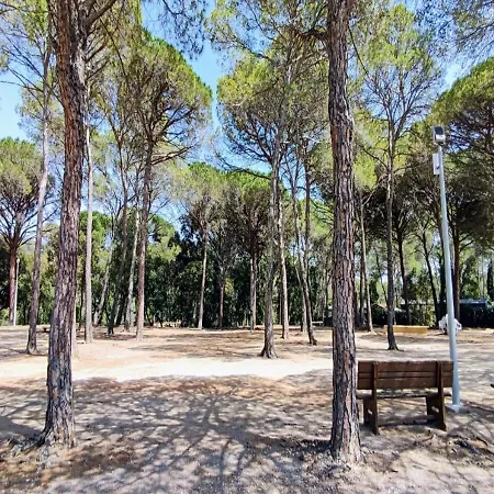 Escabour 40, Mobil-Home, Au Calme, A Frejus Chalet *